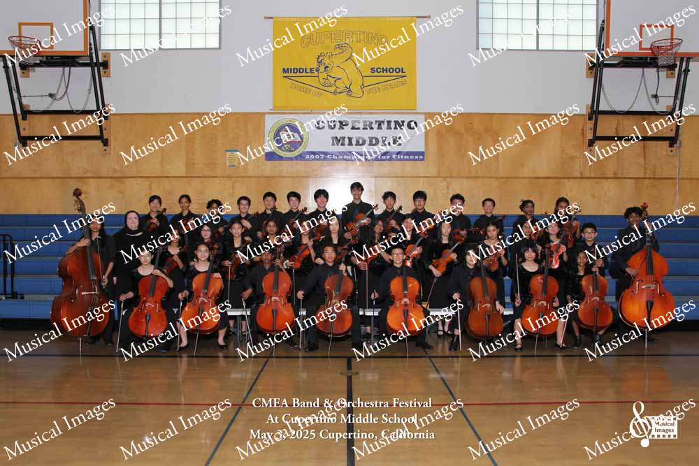 Musical Images